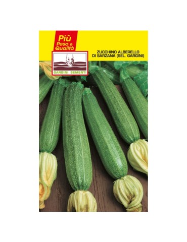 Bustine sementi zucchino alberello di Sarzana