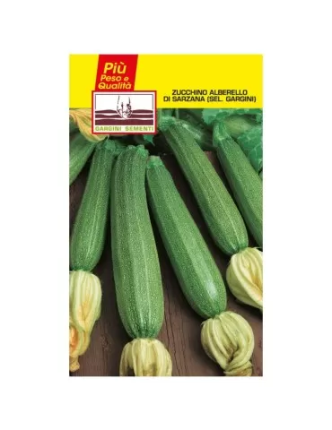 Sachets seeds zucchini sapling of Sarzana