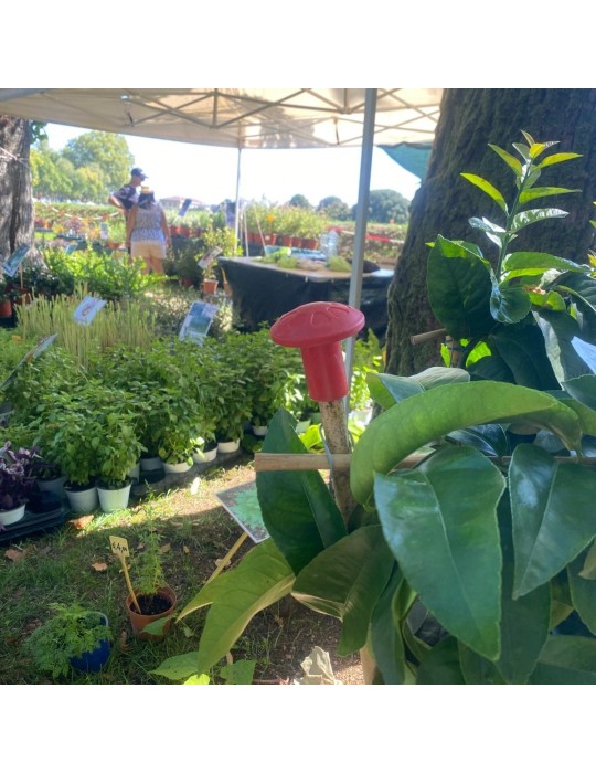 Baustellengegenstände: Pilzstangenabdeckung aus rotem Kunststoff mit hohem V...