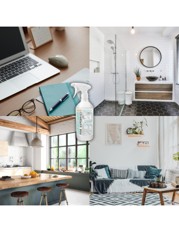 Desinfektionsspray in einer 750-ml-Flasche 2