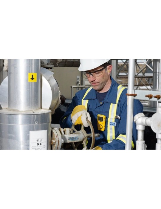 Measuring instruments Gas alert device microclip xl 4 of the...