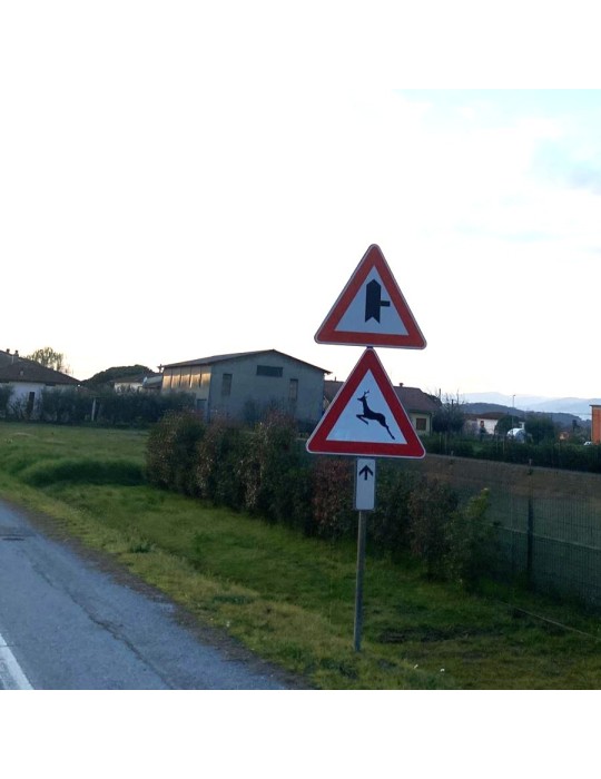 Cartello Stradale intersezione a T con diritto di precedenza dx