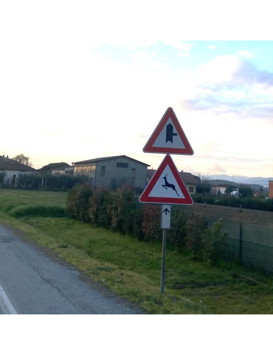 Placas complementarias Panel suplementario en chapa metálica clase 1 15x35...