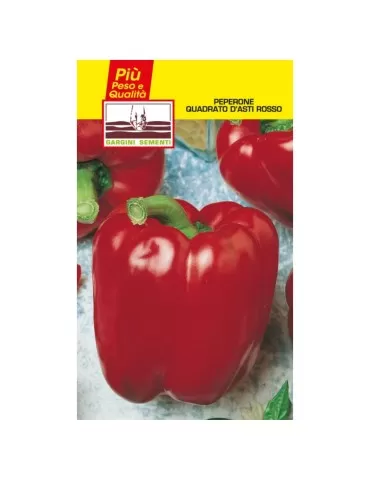 Seed sachets red Asti square pepper