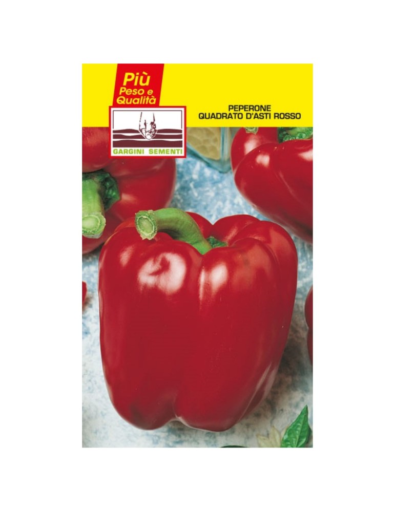 Sachets de graines piment carré rouge d’Asti