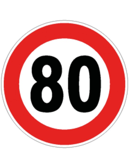 Diamètre discale. 60 cm classe 1 fig. 50 » limite maximale 80 km/h »