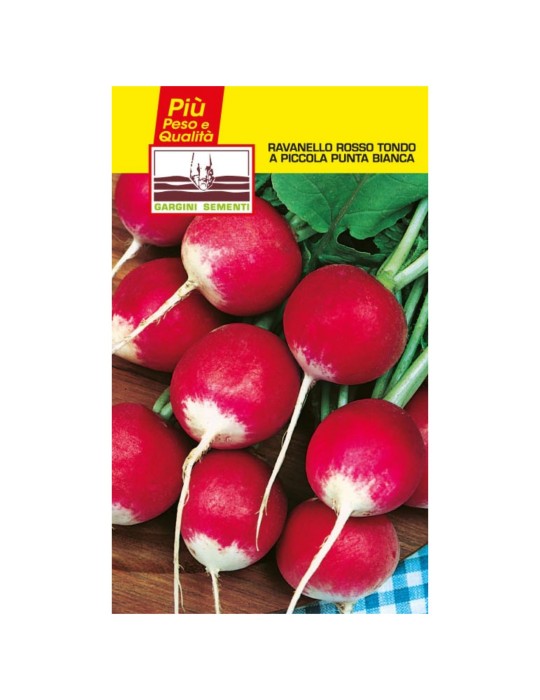 Samenbeutel, runde rote Rettiche, kleine weiße Spitze