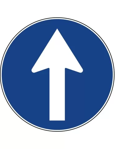 Disc diam. 60 cm class 1 fig. 80/a &quot; compulsory straight direction &quot;