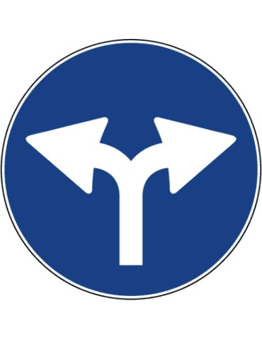 Diamètre du disque 60 cm classe 1 fig. 81/a " autorisé dans les directions droite et gauche »