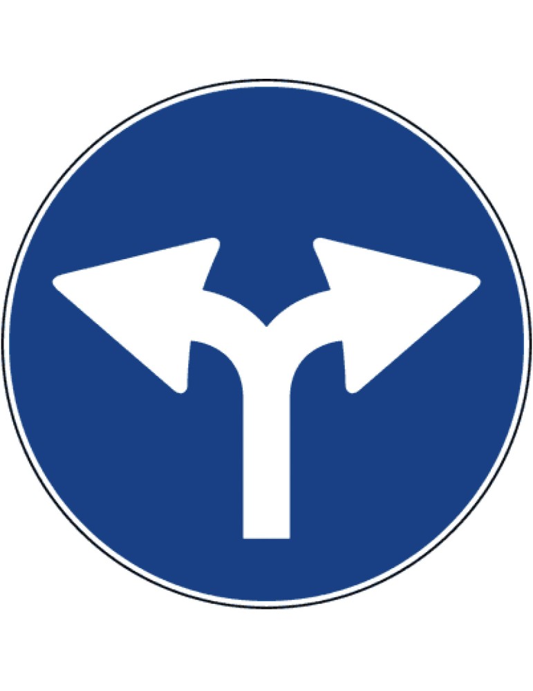 Disc diameter 60 cm class 1 fig. 81/a " allowed right and left directions "