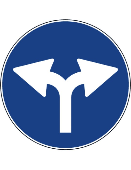 Diamètre du disque 60 cm classe 1 fig. 81/a " autorisé dans les directions droite et gauche »