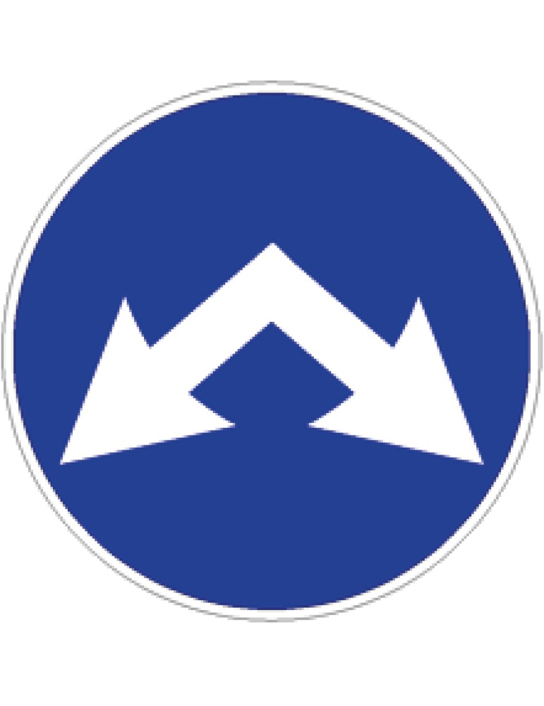 Diamètre du disque 60 cm classe 1 fig. 83 « passages autorisés »