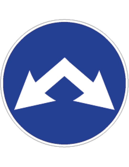 Diamètre du disque 60 cm classe 1 fig. 83 « passages autorisés »