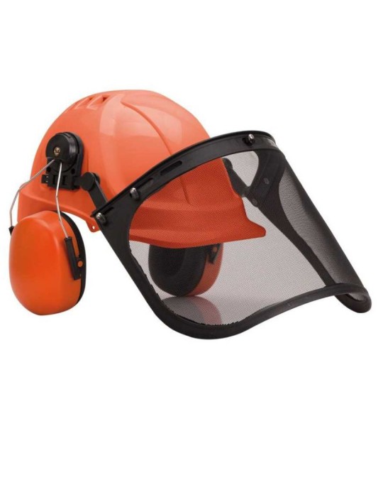 Kit forestale economico con elmetto cuffie e visiera