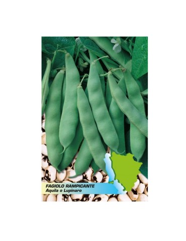 Bustina da 100 gr sementi fagiolo rampicante aquila o lupinaro