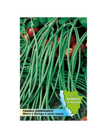 Sachet of 100 gr climbing bean seeds meter or string