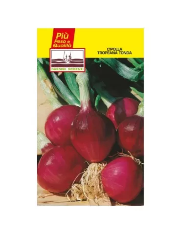 Round Tropeana onion seed sachets