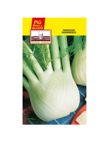 Sachet de graines de fenouil romain