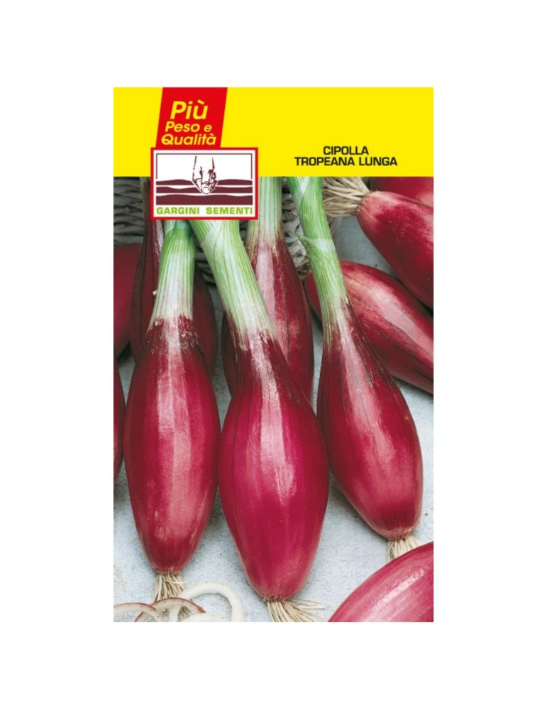 Long Tropean onion seed sachet