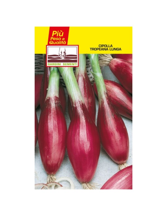 Long Tropean onion seed sachet