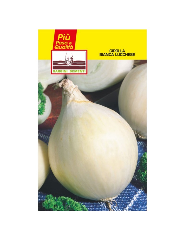 Seed sachet white onion from Lucca