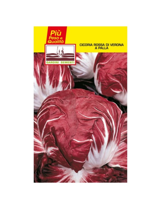 Sachet of Verona red chicory seeds