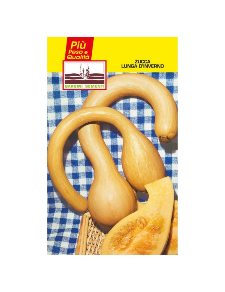 Bustine sementi zucca lunga da inverno