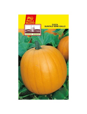 Bustine sementi zucca quintale gialla