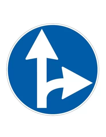 Disc with a diameter of 60 cm class 1 fig. 81/b &quot; straight and right directions allowed &quot;