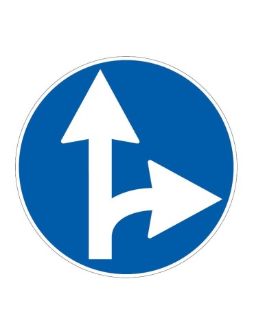 Disc with a diameter of 60 cm class 1 fig. 81/b " straight and right directions allowed "