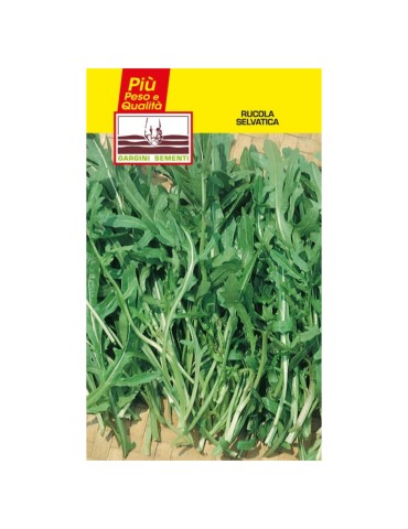 Bustine sementi rucola selvatica