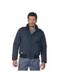 Navy blue padded taslon jacket &quot;Trainer 1&quot;