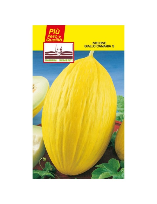 Sachets de graines de melon jaune canari 3