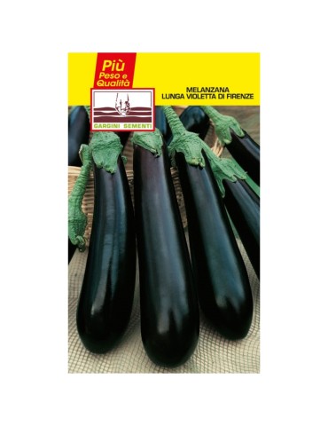 Lange Aubergine-Samenbeutel Violetta di Firenze