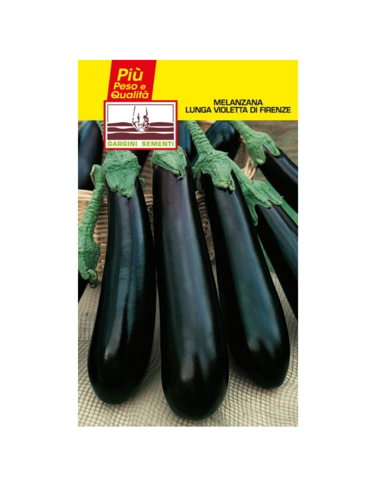 Lange Aubergine-Samenbeutel Violetta di Firenze