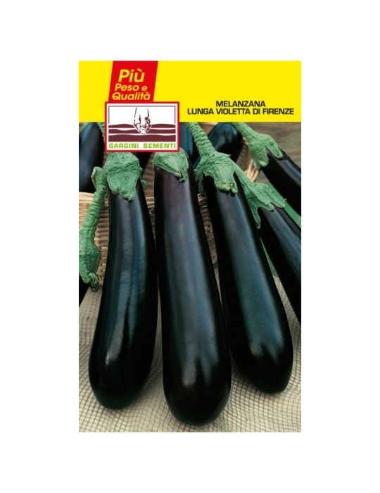 Long aubergine seed sachets Violetta di Firenze