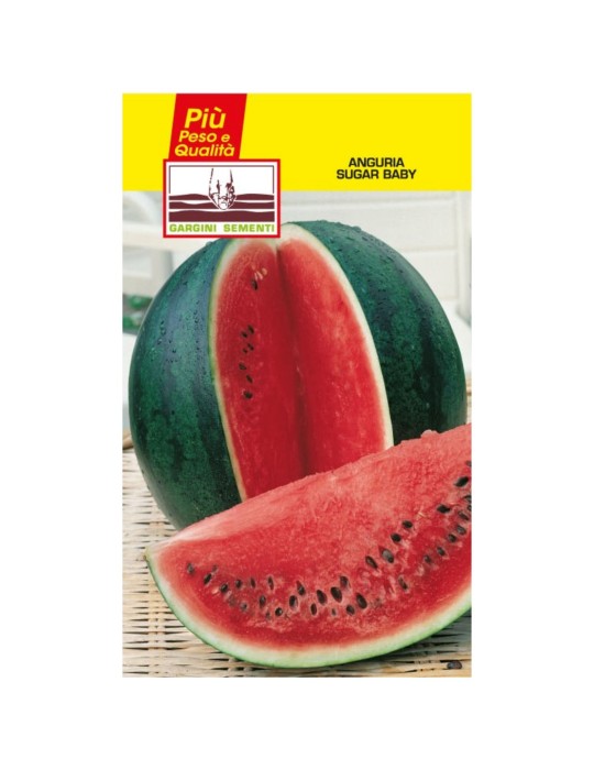 Sachet de graines de pastèque Sugar baby