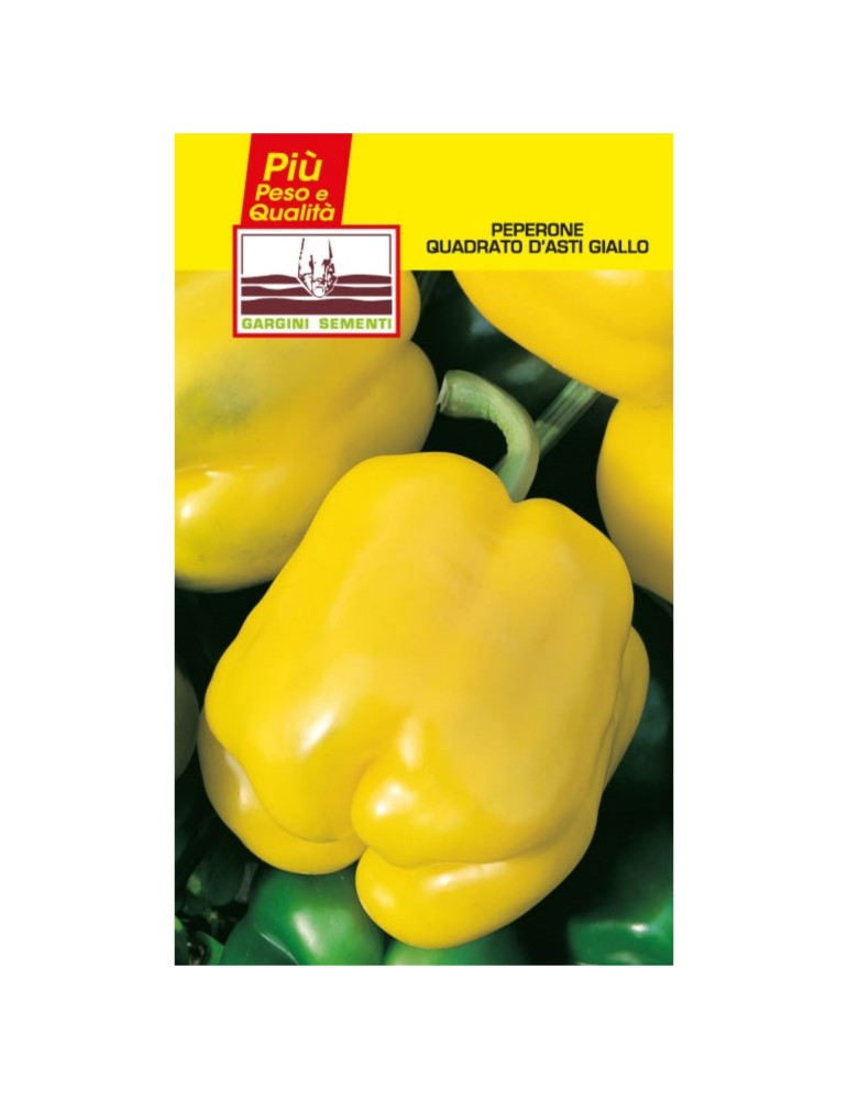 Seed sachets yellow square pepper of Asti