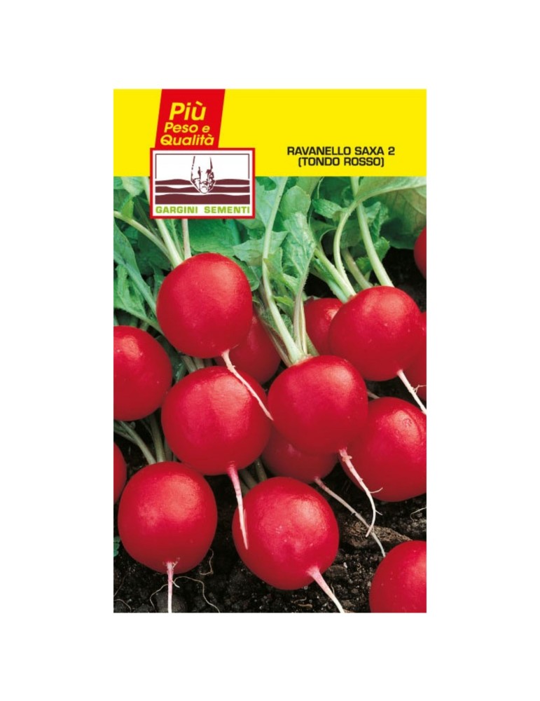 Bustine sementi ravanello saxa tondo rosso