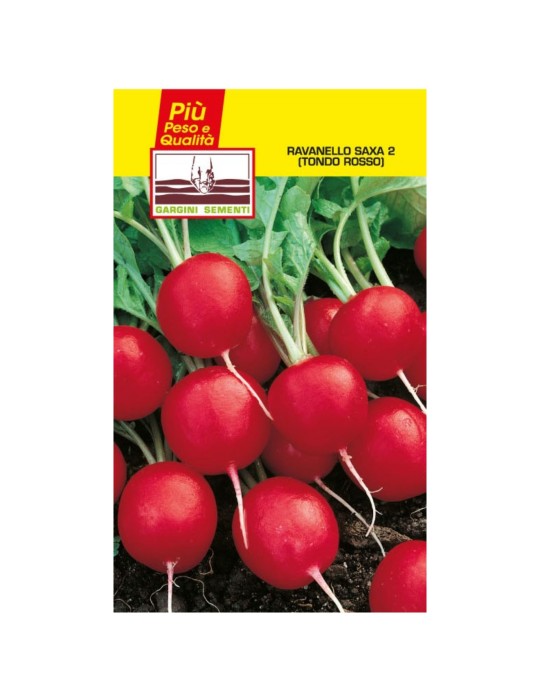 Semillas de sachets saxa rábano rojo redondo