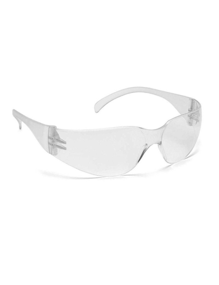 Schutzbrille "Ecovision/1"
