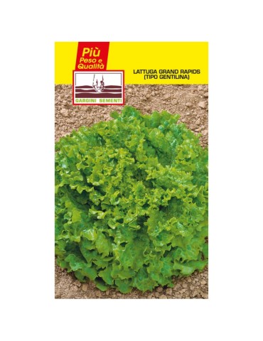 Gentilina lettuce seed sachets