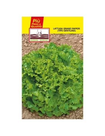 Gentilina lettuce seed sachets