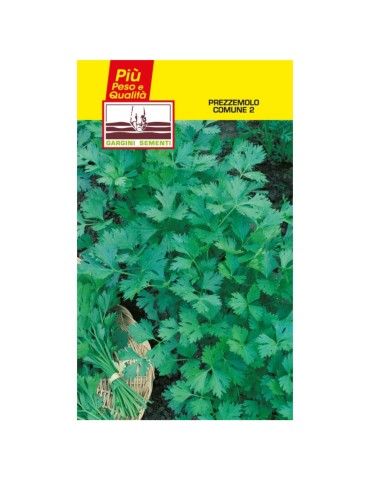 Übliche Petersiliensamenbeutel