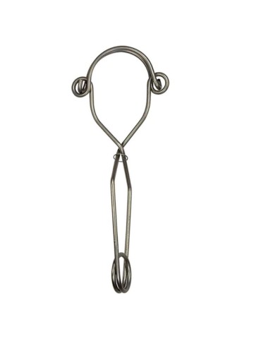 Pinza d'ancoraggio