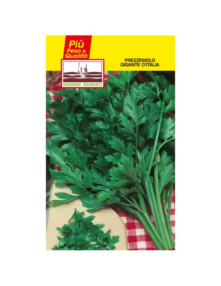 Giant parsley seed sachets of Italy