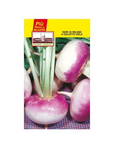 Purple-collar turnip seed sachets