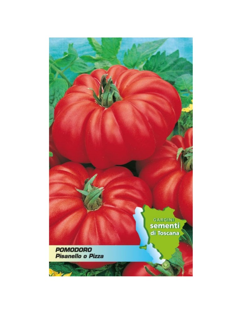 Sachet de graines avec tomate, pisanello ou pizza