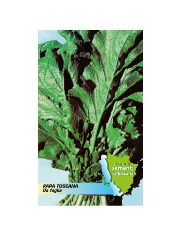 Tuscan turnip seed sachet leaf