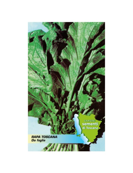 Bustina sementi rapa Toscana a foglia